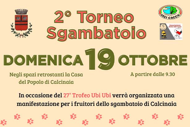 Trofeo ubi ubi