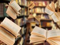 Viva la bibliodiversità! Più libri in biblioteca grazie al finanziamento del Mibact intercettato dal Comune