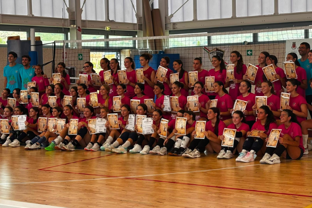 Camp Volley
