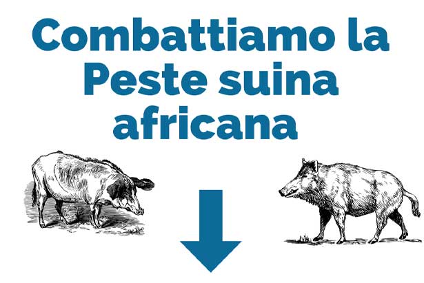 Peste Suina
