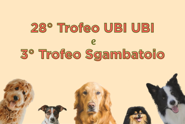 Ubi Ubi
