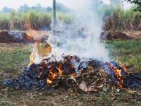 Periodo ad alto rischio incendi boschivi: divieto assoluto di abbruciamento